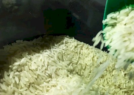 Arroz registra pequena queda nos preços no início de maio