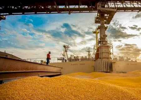 Milho tende a ficar em baixa no curto prazo e Brasil deve perder mercado | Brasilagro