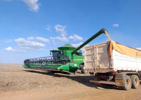 Colheita de soja para a safra 2024/2025 alcançou 99,8% da área acompanhada.