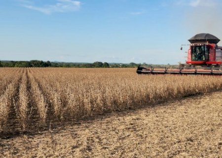 Preços reagem, sojicultor negocia  e alta do dólar impulsiona mercado no Brasil