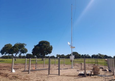 Pantanal da Nhecolândia registra menor temperatura de Mato Grosso do Sul no início da manhã de hoje: 2,6°C