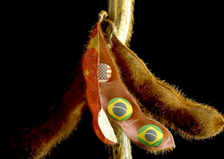 Soja brasileira perderá o protagonismo após 'trégua' entre China e EUA? Especialista responde