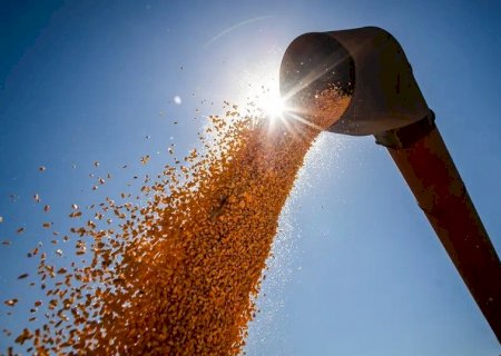 Brasil poderá ter novo recorde na produção de grãos na safra 2024/2025