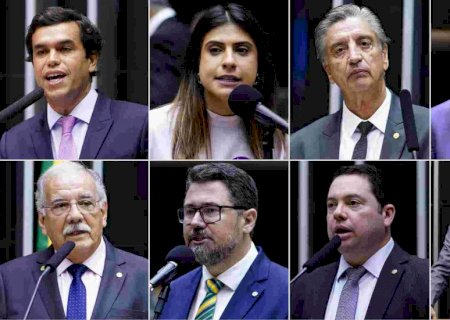 Veja os votos dos deputados de MS sobre projeto que aumenta pena para porte de arma de uso proibido