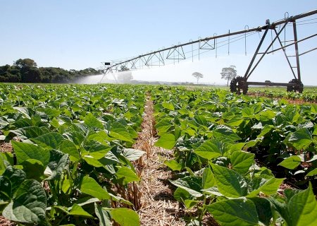 Novo mapa de aptidão agrícola mostra onde há maior potencial para agricultura no Brasil