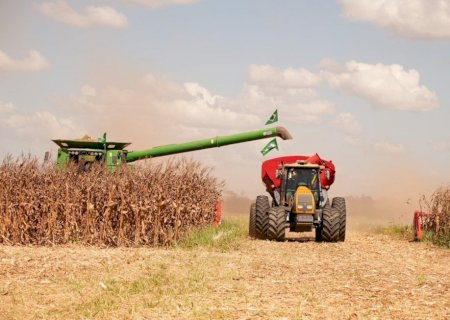 Sem seguro? Soja 'em risco' com o corte de R$ 445 milhões