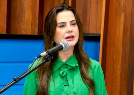Mara Caseiro pede curso de Educação Especial em Iguatemi