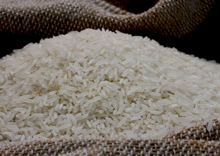 Arroz: volume importado é maior que o exportado no mês de maio