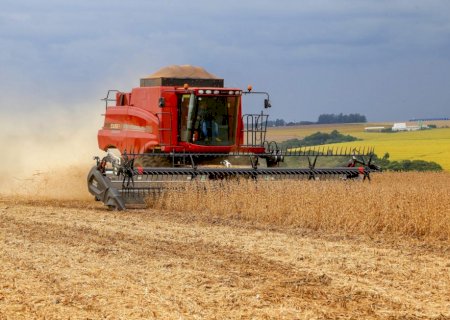 Saiba como está a colheita de soja em reta final no Brasil