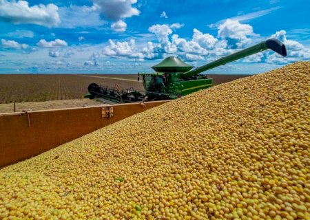 Fundos elevam apostas na alta dos preços de soja na semana até 17 de junho