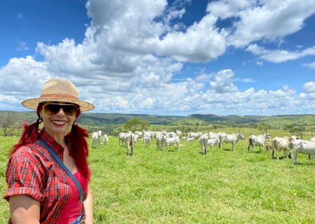 Bem-estar animal melhora produtividade e fortalece relações no campo