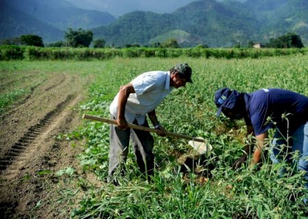 A força da Agricultura familiar no desenvolvimento do país