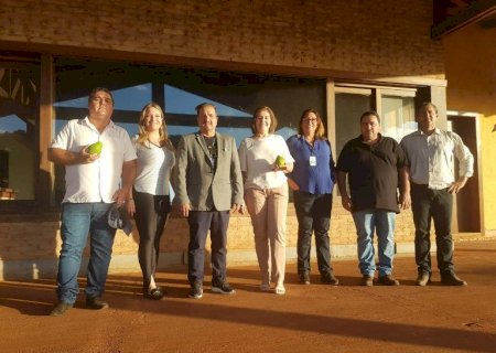 Vereadores destacam políticas públicas de incentivo à agricultura familiar em Nova Andradina