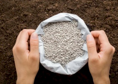 CNA avalia mercado de fertilizantes em junho