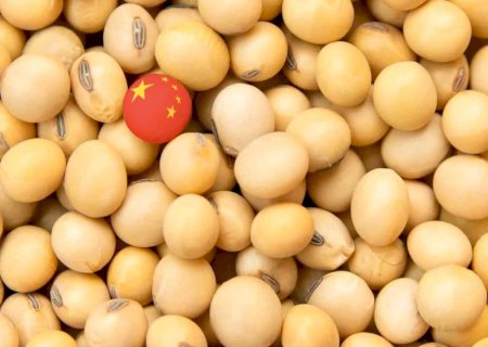 Compras de soja pela China aumentaram 18% em julho
