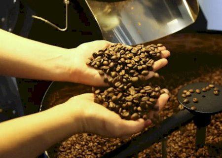 Associação de cafés especiais apoia medidas do Plano Brasil Soberano
