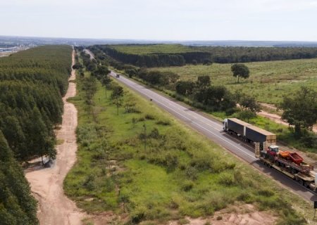 Rota da Celulose: Governo de MS convoca segundo colocado em leilão de concessão