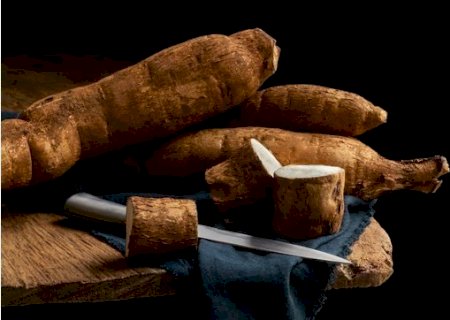 Mandioca: oferta avança com lentidão