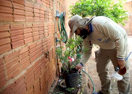 Boletim Epidemiológico: MS registra 7.865 casos confirmados de dengue