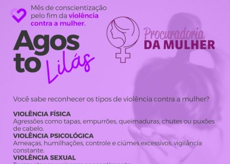 Câmara de Nova Andradina encerra campanha “Agosto Lilás' com sessão especial