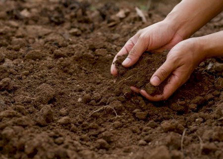 Diagnóstico de solo é o primeiro passo para proteger lavouras e garantir produtividade