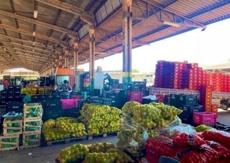 Mato Grosso do Sul amplia participação na Ceasa, com aumento de 18,78 % no volume comercializado