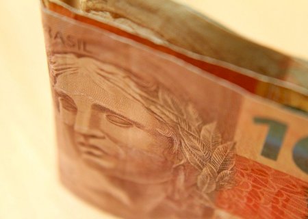 Soja registra novidades e negócios pontuais no Brasil; confira as cotações