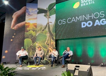 'Precisamos de política de seguro rural sólida para o produtor', diz Tereza Cristina