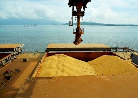 Exportações de soja brasileira para China crescem mais de 50% em setembro