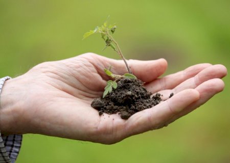 Entidades defendem protagonismo do agro na mitigação climática e pedem revisão do Plano Clima