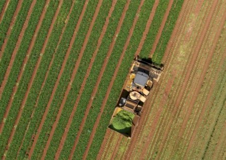 Depreciação: custo invisível consome patrimônio e exige atenção do pecuarista; entenda