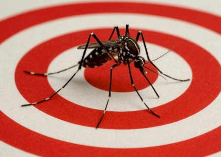 Tríplice Epidemia: Combate às arboviroses é fortalecido com campanha originada na Casa de Leis