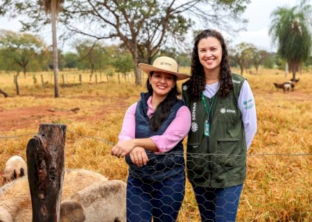 Produtora de Terenos aposta na ovinocultura e faz da atividade a principal fonte de renda