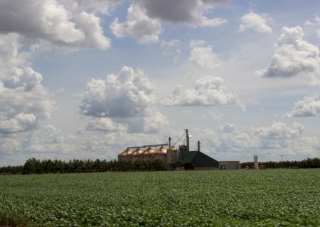 Valor Bruto da Produção Agropecuária de Mato Grosso do Sul cresce 23,6% e atinge R$ 76,3 bilhões