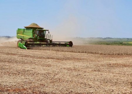 Mato Grosso do Sul: tomada de crédito agrícola cai 53% em outubro