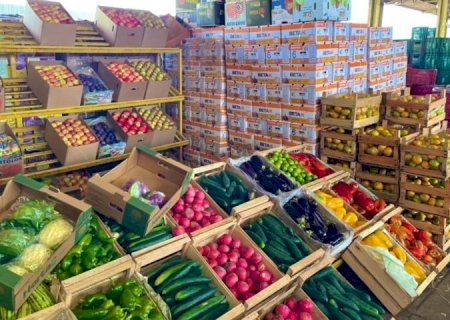 Ceasa de MS chega aos 46 anos conectando produtores e comerciantes, impulsionando a economia local