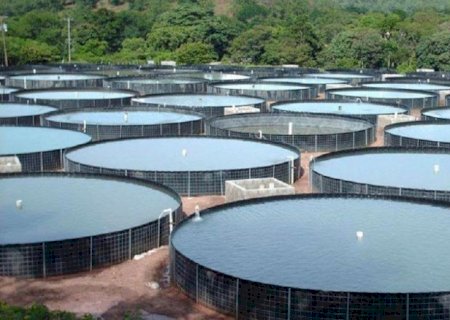 Piscicultura cresce “sem freio' no Sudeste e região assume liderança nacional