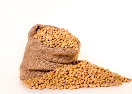 Sem compras robustas de soja pela China, Chicago demonstra cautela