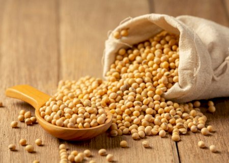 Muito além do grão: a versatilidade da soja no nosso dia a dia e na indústria