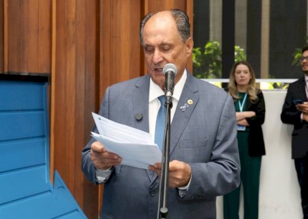 Associação de Proteção Animal de Jardim pode ser declarada de utilidade pública