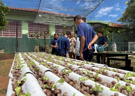 Do ar para a terra: escola estadual de MS transforma água de ar-condicionado em alfaces sustentáveis