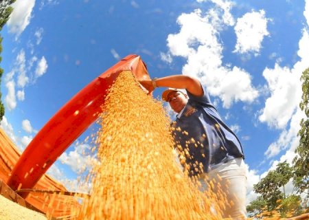 Valor Bruto da Produção Agropecuária de Mato Grosso do Sul cresce 23,6% e atinge R$ 76,3 bilhões