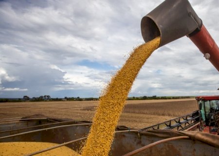 Produtor segura venda e só 22% da soja de MS foi comercializada até dezembro