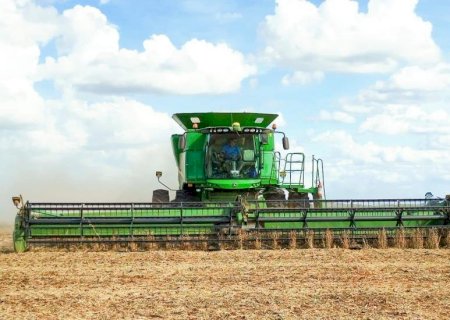 Safra 25/26: colheita da soja é iniciada em Mato Grosso do Sul