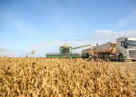Safra de grãos deve bater novo recorde de área plantada, mas produção pode variar entre regiões
