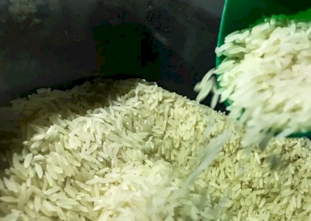 Demanda interna e oferta ajustada sustentam cotações do arroz
