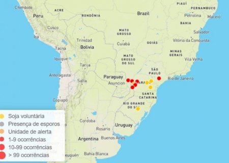 Safra 25/26: primeiro foco de ferrugem asiática em área comercial é confirmado em MS