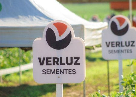 Sicredi Centro-Sul MS/BA promove palestra com Dr. Agro Marcos Fava durante Dia de Campo da Sementes Verluz, em Bonito