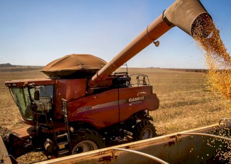 Mato Grosso redefine incentivo fiscal à soja beneficiada