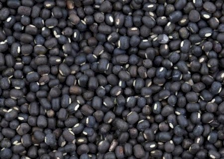 Brasil pode exportar até 40% a mais de feijão para a Índia